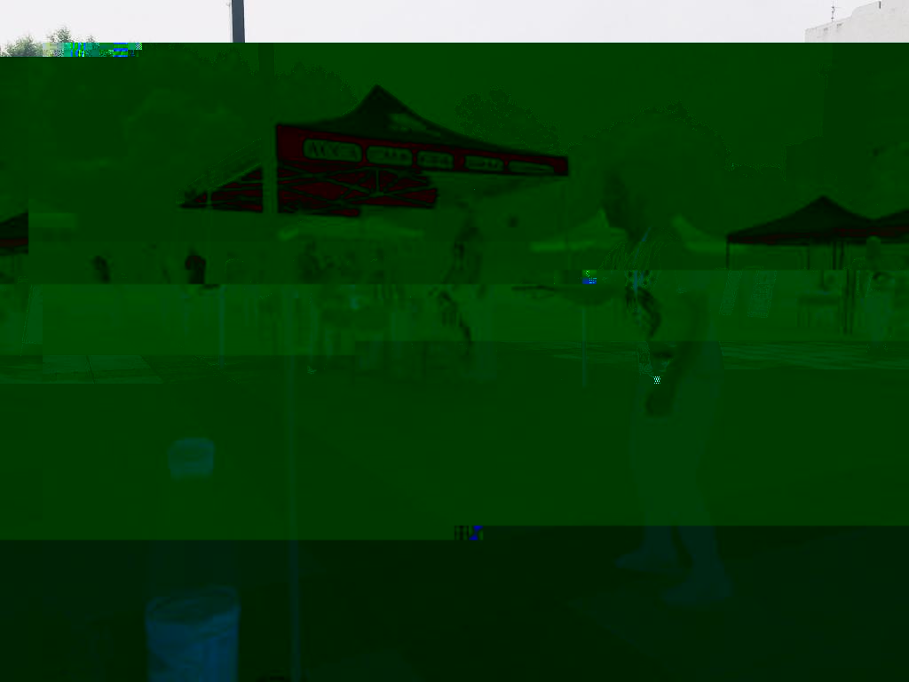 1F0E9